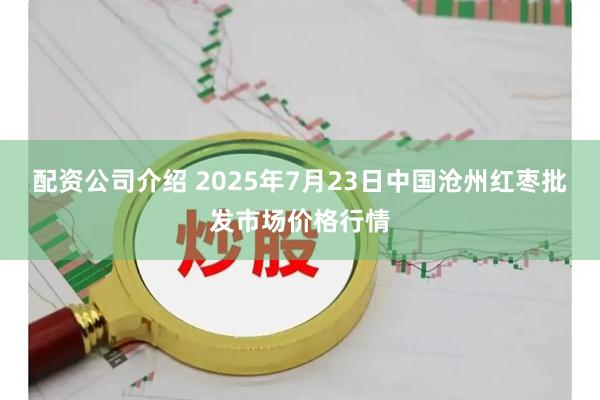 配资公司介绍 2025年7月23日中国沧州红枣批发市场价格行情